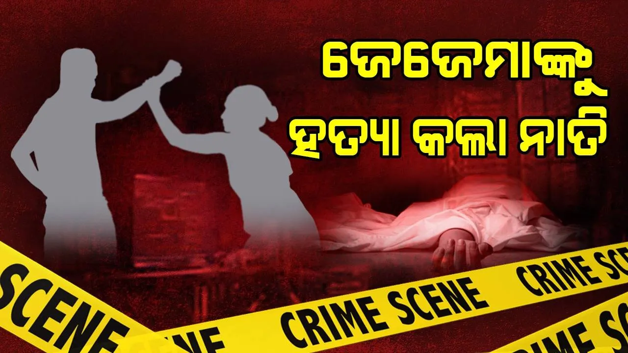 ସାମାନ୍ୟ ବଚସାକୁ ନେଇଁ ହତ୍ୟା: ଜେଜେମାଙ୍କ ଜୀବନ ନେଲା ନାତି
