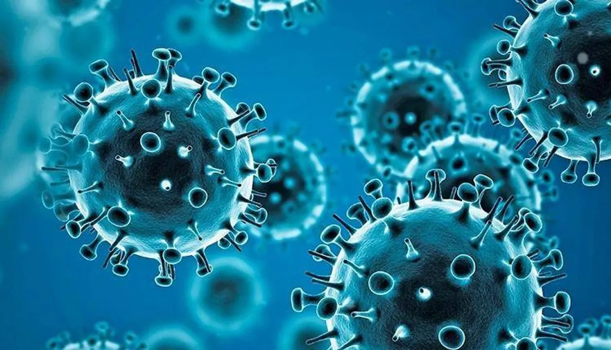  World Health Organization (WHO) 