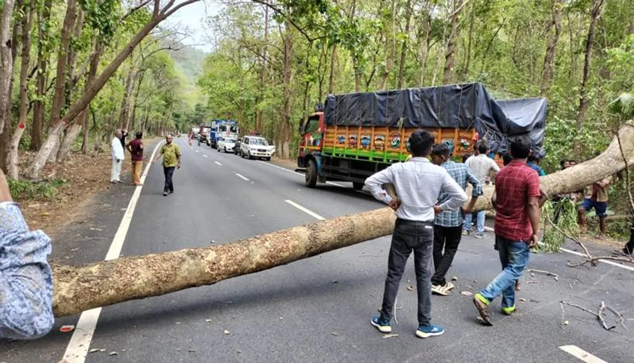  ଗଛପଡ଼ି ଜାତୀୟ ରାଜପଥ ଅବରୋଧ, ଯାତ୍ରୀ ହନ୍ତସନ୍ତ