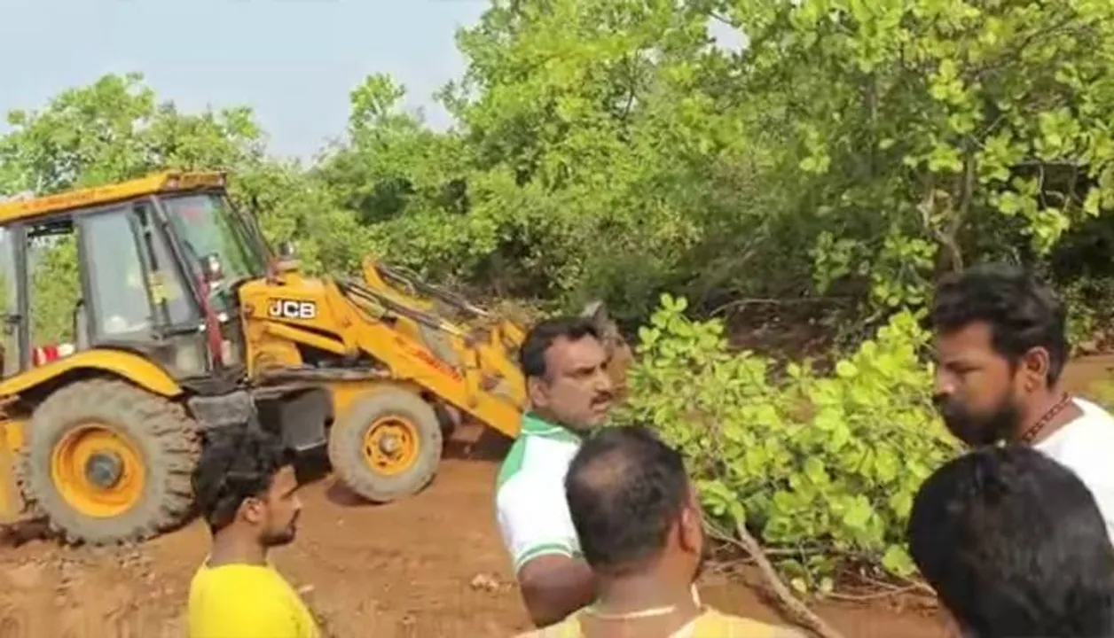  କାଜୁଗଛ କଟାକୁ ବିରୋଧ, ଖୋଳିଥିବା ଗାତ ପୋତିଲେ ଠିକାଦାର