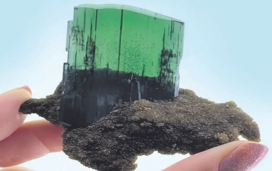  ଶବରୁ ଜାତ ରତ୍ନ