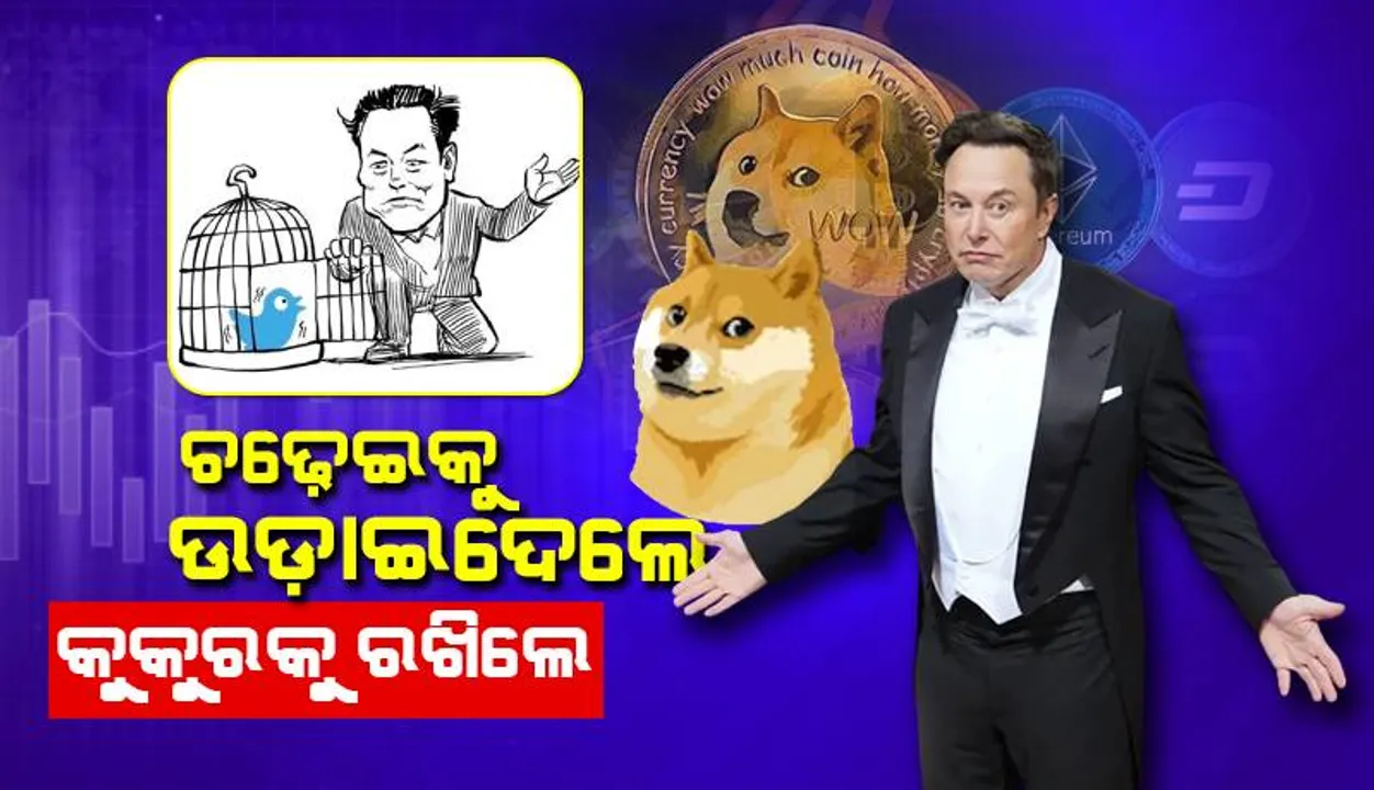  ‘ବ୍ଲୁ ବାର୍ଡ’ ବଦଳରେ ଟ୍ବିଟର୍‌ ଲୋଗୋ ‘ଡଗି’କୁ ବଦଳାଇଲେ ମସ୍କ, ଟ୍ବିଟ୍‌ କରି ଦେ‌ଲେ ସୂଚନା
