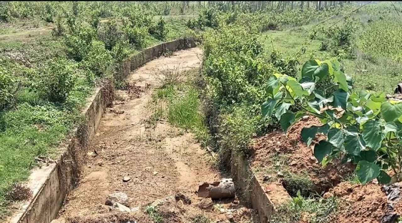  Sambad 