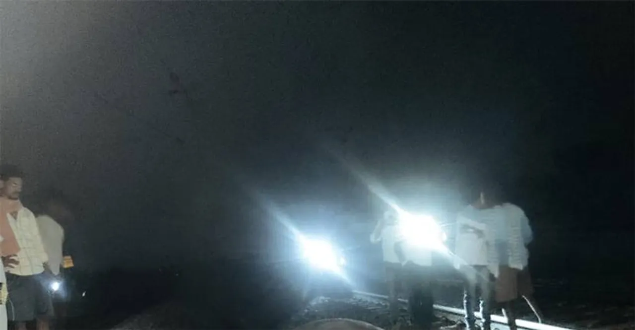  ଟ୍ରେନ୍‌ ଧକ୍କାରେ ଦନ୍ତାହାତୀର ମୃତ୍ୟୁ