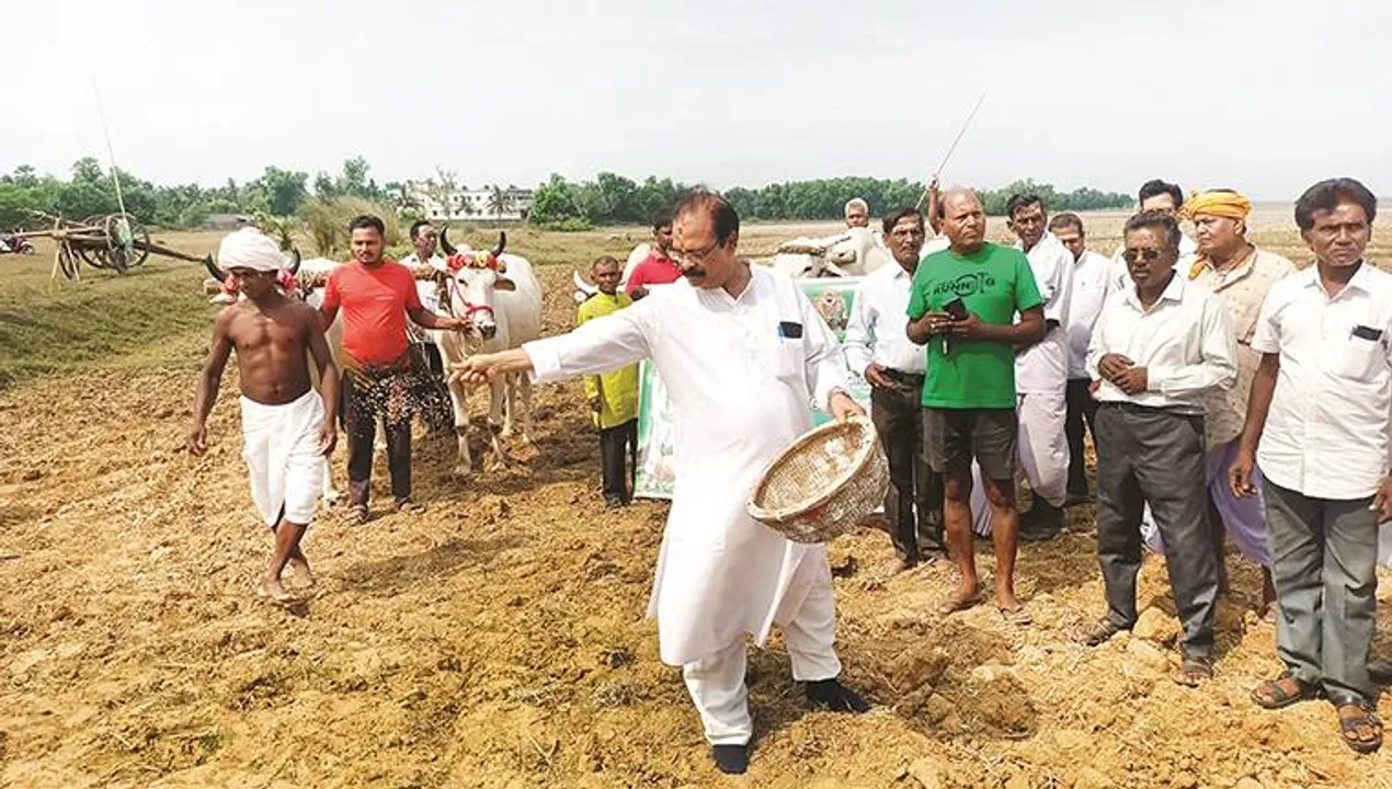  ବେଦାନ୍ତ ଅଧିଗୃହୀତ ଜମିରେ ଅଖିମୁଠି ଅନୁକୂଳ