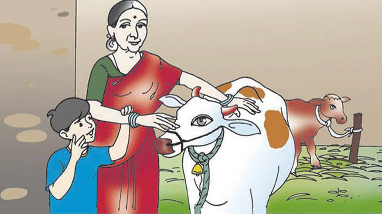  ଓଲେଇ ଚମ୍ପା