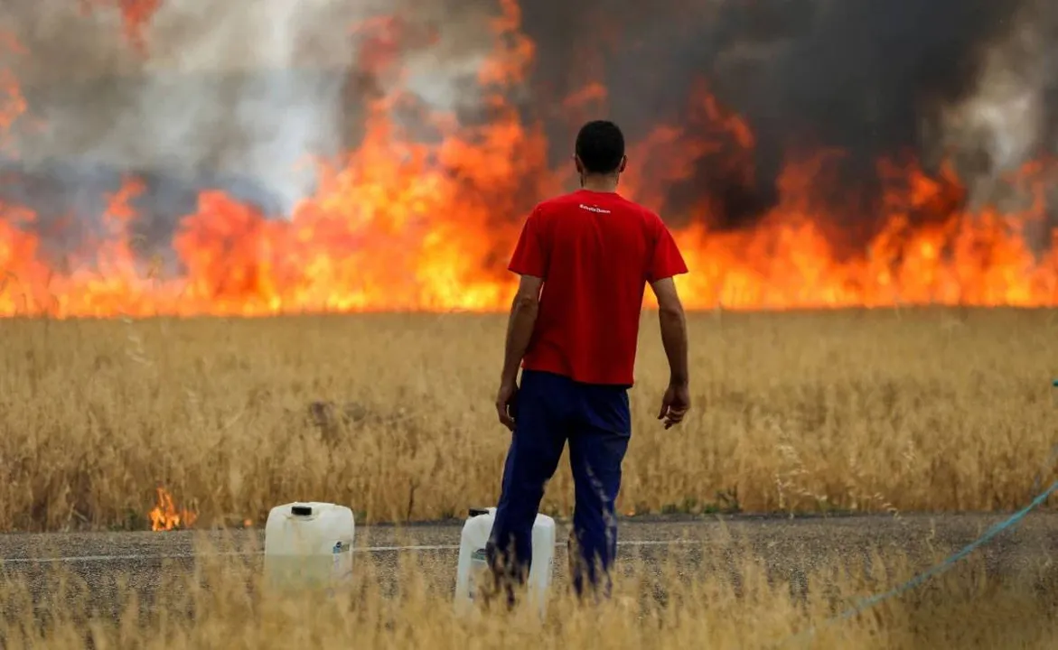  Image Courtesy of Reuters 