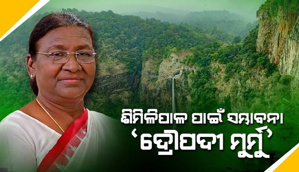  ଦେଇଥିଲେ ‘ଟ୍ରିଜ୍‌ ଫର୍‌ ଟାଇଗର୍‌’ ସ୍ଲୋଗାନ୍‌: ବ୍ୟାପକ ଅଞ୍ଚଳରେ ହୋଇଛି ବୃକ୍ଷରୋପଣ