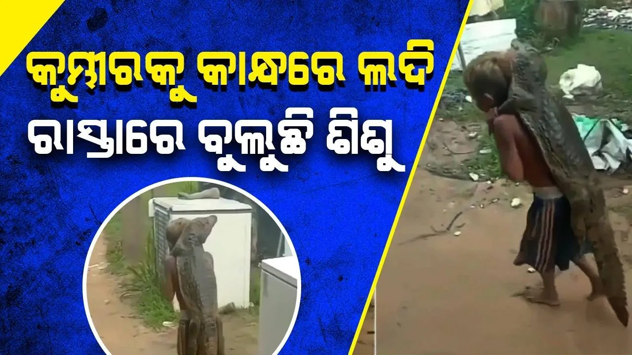  କୁମ୍ଭୀରକୁ କାନ୍ଧରେ ବସାଇ ରାସ୍ତାରେ ବୁଲୁଛି ଶିଶୁ