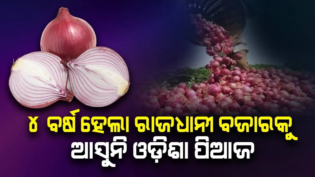  ୪ ବର୍ଷ ହେଲା ରାଜଧାନୀ ବଜାରକୁ ଆସୁନି ଓଡ଼ିଶା ପିଆଜ
