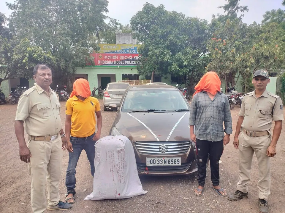  କାର ସହ ୨୮ କିଲୋ ଗଂଜେଇ ଜବତ, ଦୁଇ ଗିରଫ