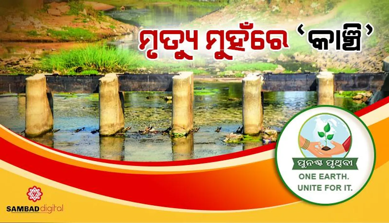  ମୃତ୍ୟୁ ମୁହଁରେ ‘କାଞ୍ଚି’: ଜୀବନରେଖା ଥିଲା, ଏବେ ଅଲୋଡ଼ା