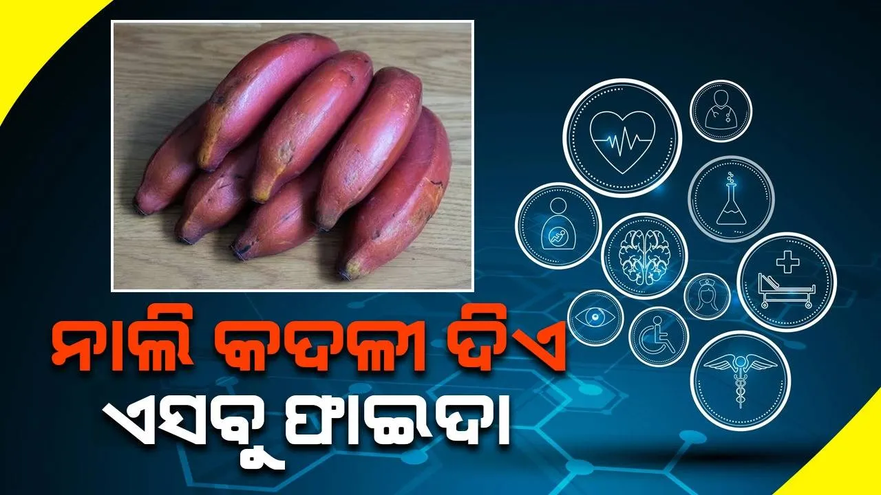  ସବୁଜ ଓ ହଳଦିଆ ରଙ୍ଗର କଦଳୀ ଅପେକ୍ଷା ନାଲି କଦଳୀ ସ୍ୱାସ୍ଥ୍ୟକୁ ଦିଏ ଏସବୁ ଫାଇଦା