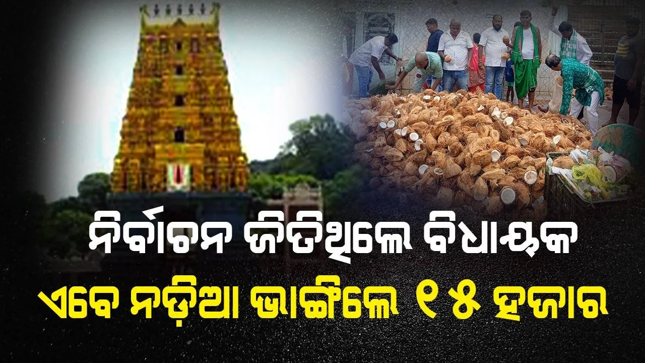  ମାନସିକ ପୂରଣ ହେବାରୁ ସୀମାଞ୍ଚଳମ୍‌ରେ ୧୫ ହଜାର ନଡ଼ିଆ ଭାଙ୍ଗିଲେ ଓଡ଼ିଆ ବିଧାୟକ
