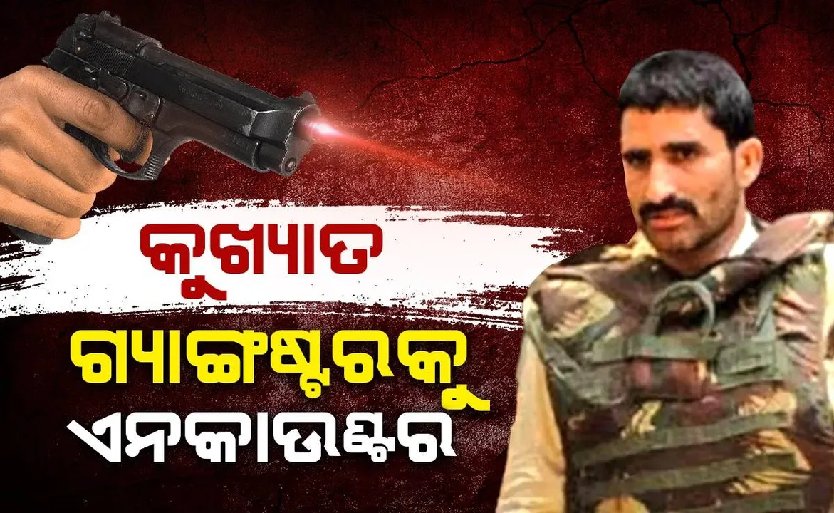  ଏସଟିଏଫର ଏନକାଉଣ୍ଟରରେ ଆଉ ଜଣେ ଗ୍ୟାଙ୍ଗଷ୍ଟର ନିପାତ