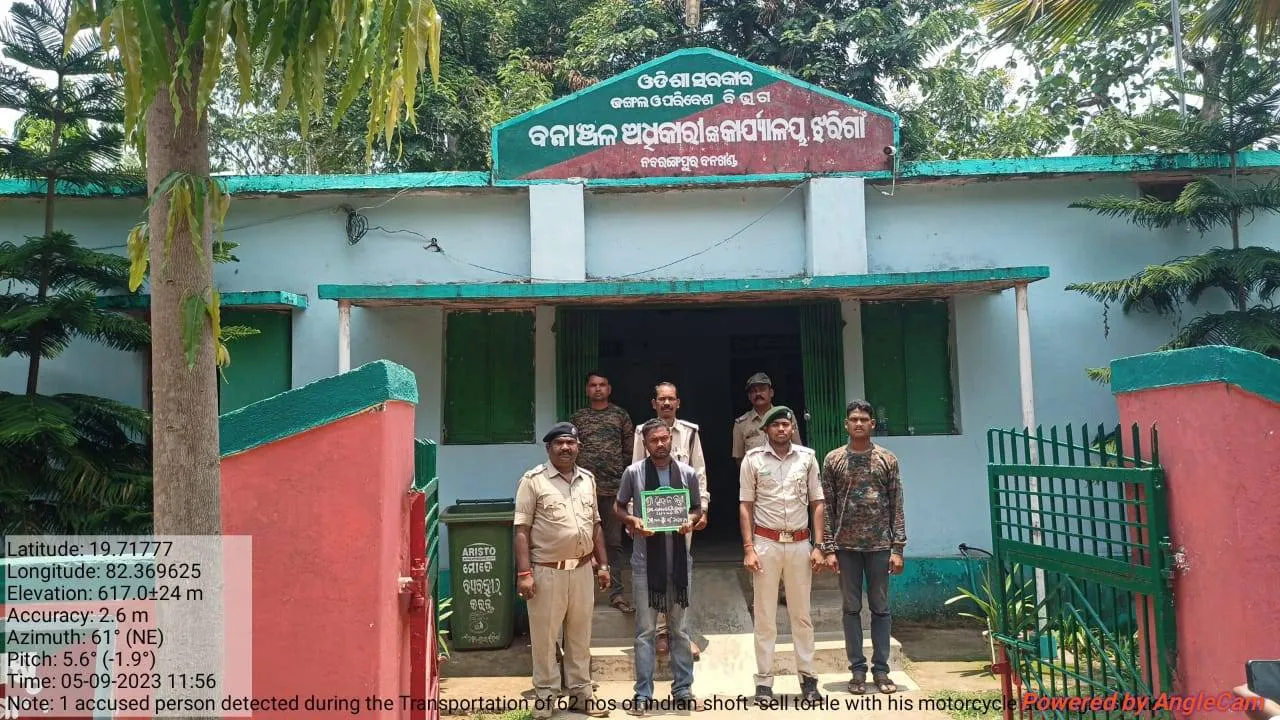 ଝରିଗାଁରେ ୬୨ କଇଁଛ ଜବତ, ଅଭିଯୁକ୍ତ ଗିରଫ