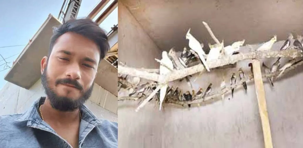  ପକ୍ଷୀ ବେପାରରୁ ପାକିସ୍ତାନ ଲିଙ୍କ୍‌