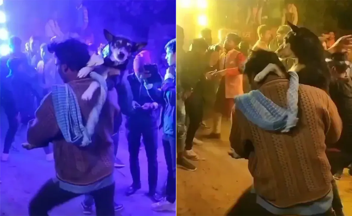  କୁକୁରକୁ କାଖେଇ ବରଯାତ୍ରୀରେ ସାମିଲ ହୋଇ ମନଖୋଲି ନାଚିଲେ ଏହି ବ୍ୟକ୍ତି