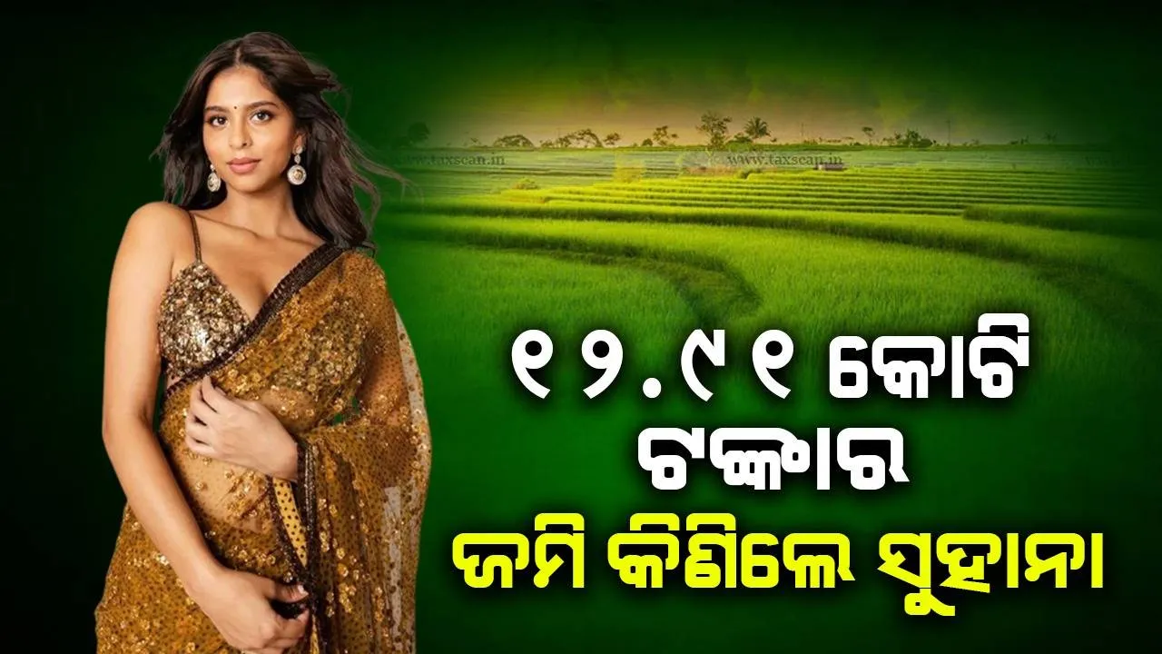  ଅଭିନୟ ଡେବ୍ୟୁ ପୂର୍ବରୁ ନିଜ ନାମରେ ଜମି କିଣିଲେ ‌ଶାହାରୁଖଙ୍କ ଝିଅ ସୁହାନା