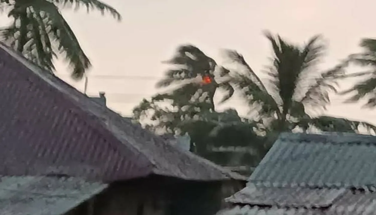  ବଜ୍ରପାତରେ ଜଳିଗଲା ନଡ଼ିଆଗଛ