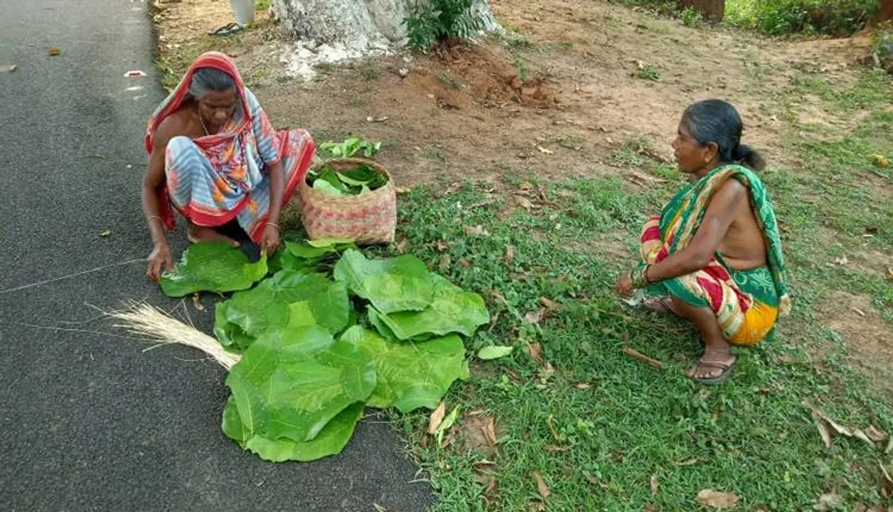  ହଜିଯାଉଛି ଖଲିପତ୍ର, କେବଳ ମନ୍ଦିର କାର୍ଯ୍ୟରେ ସୀମିତ