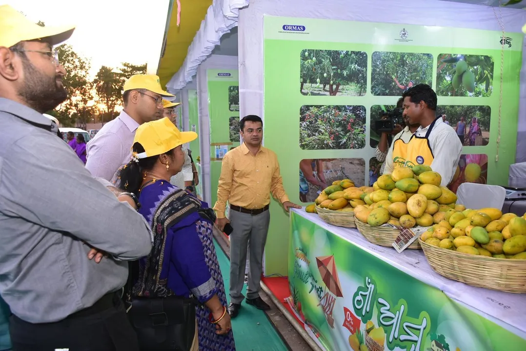  ରାଉରକେଲା ମହାନଗରରେ ‘ଗାଁ ଆମ୍ବ ପସରା'
