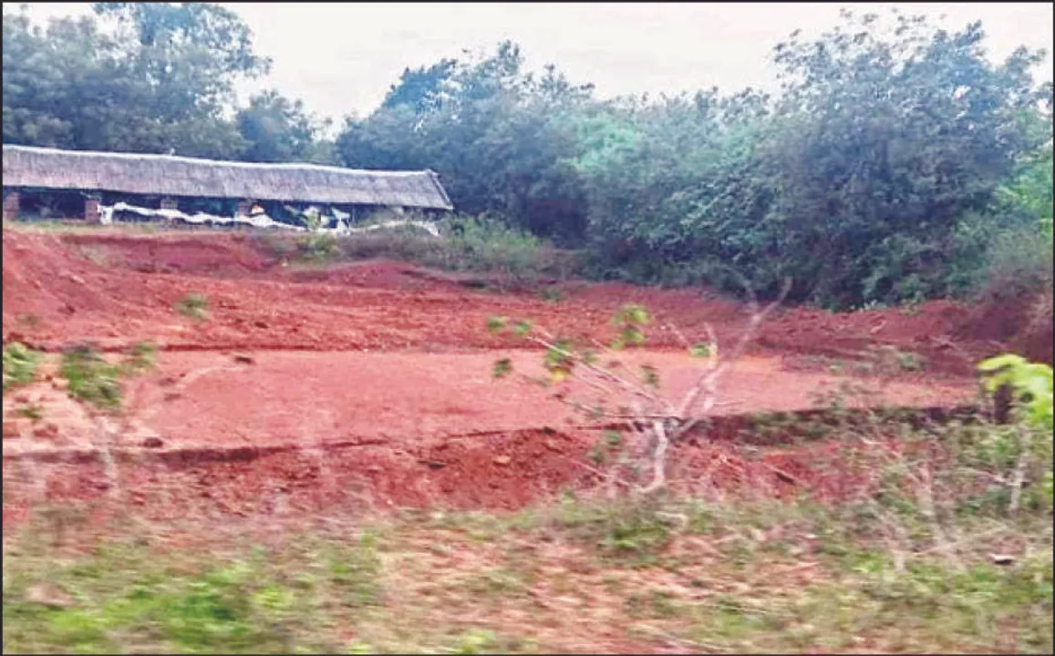  ଯାଜପୁର ଜିଲ୍ଲାରେ କୃଷି ଯୋଜନା ଦିଗହରା: ଶତାଧିକ କ୍ଷେତ ପୋଖରୀ‌ ଚୋରି