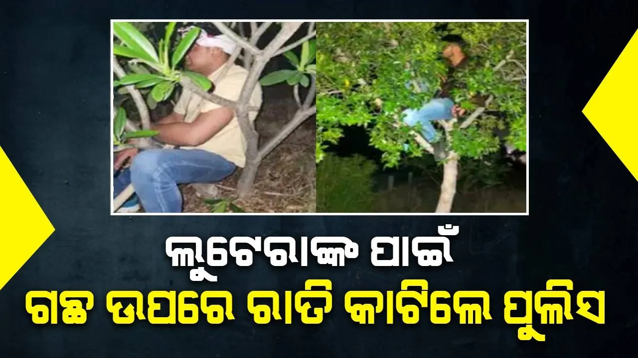  କର୍ତ୍ତବ୍ୟ ପାଳନ ପାଇଁ ଭୋକଶୋଷ ଭୁଲି ରାତି ସାରା ଗଛ ଉପରେ ବସି ରହୁଛନ୍ତି ପୁଲିସ କର୍ମଚାରୀ