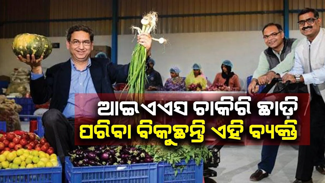  ଆଇଏଏସ ଚାକିରି ଛାଡି କିଏ ପରିବା ବିକୁଛି ତ କିଏ ପୁଣି କରୁଛି ବ୍ୟବସାୟ: ରୋଜଗାର କରୁଛନ୍ତି କୋଟି କୋଟି ଟଙ୍କା