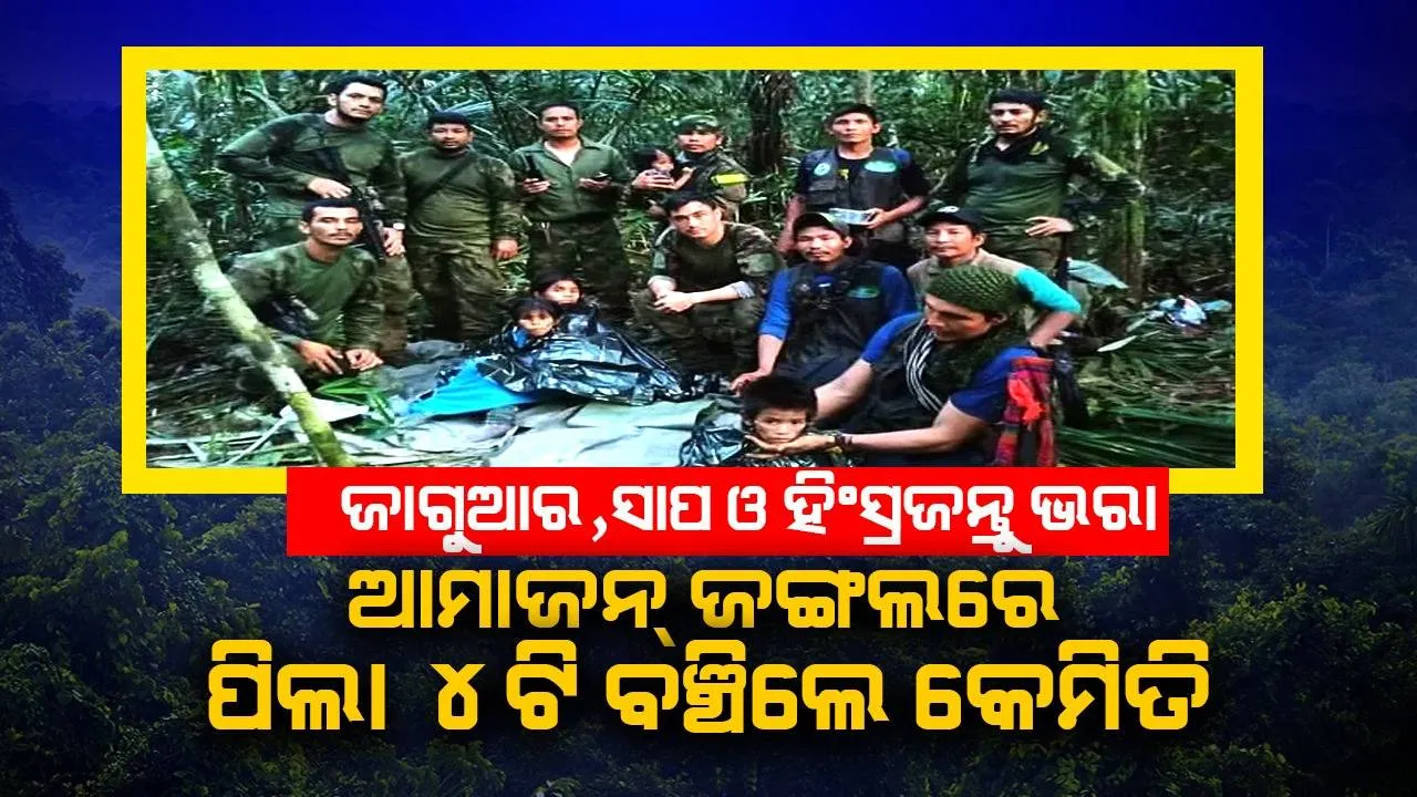  ଆମାଜନ୍‌ ବିମାନ ଦୁର୍ଘଟଣା: ହିଂସ୍ରଜନ୍ତୁ ଭରା ବଣରେ ୪୦ ଦିନ ଧରି ପିଲା ୪ଟି ଥିଲେ କେମିତି