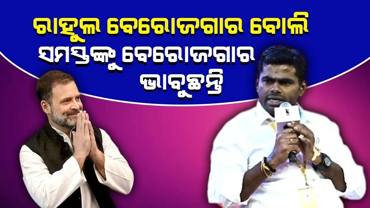  ରାହୁଲ ବେରୋଜଗାର, ତା’ମାନେ ନୁହଁ ‌ଯେ ସାରା ଦେଶ ବେରୋଜଗାର: ତାମିଲନାଡୁ ବିଜେପି ମୁଖ୍ୟ
