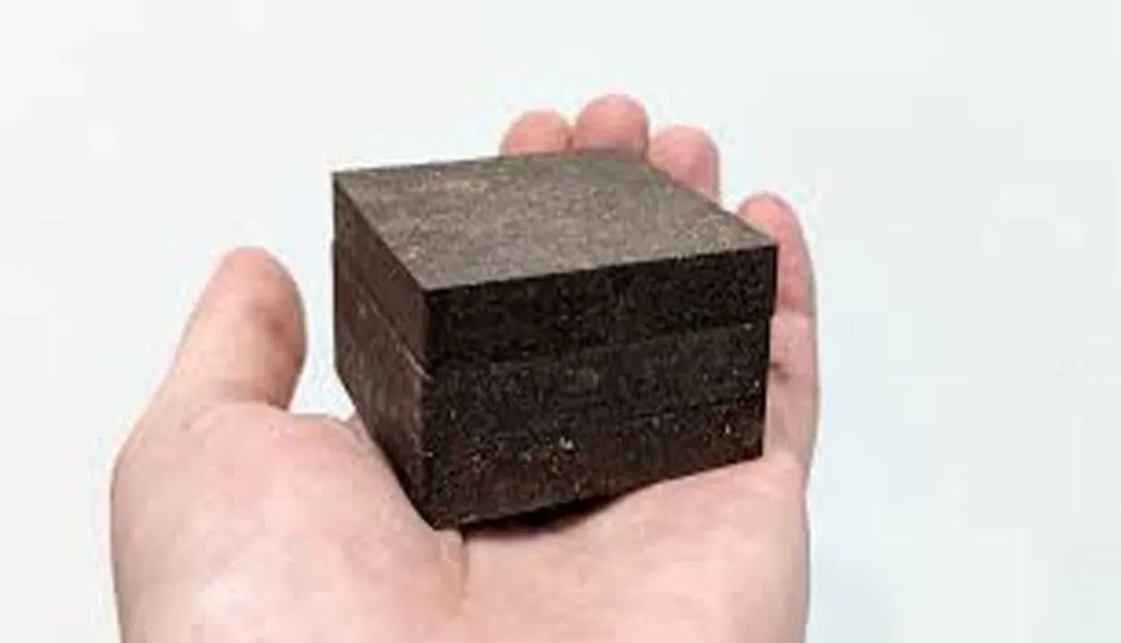  SciTechDaily
 