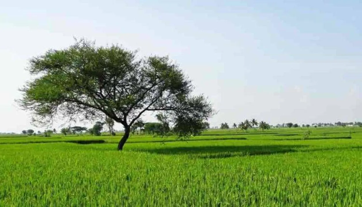  Agri Farming 