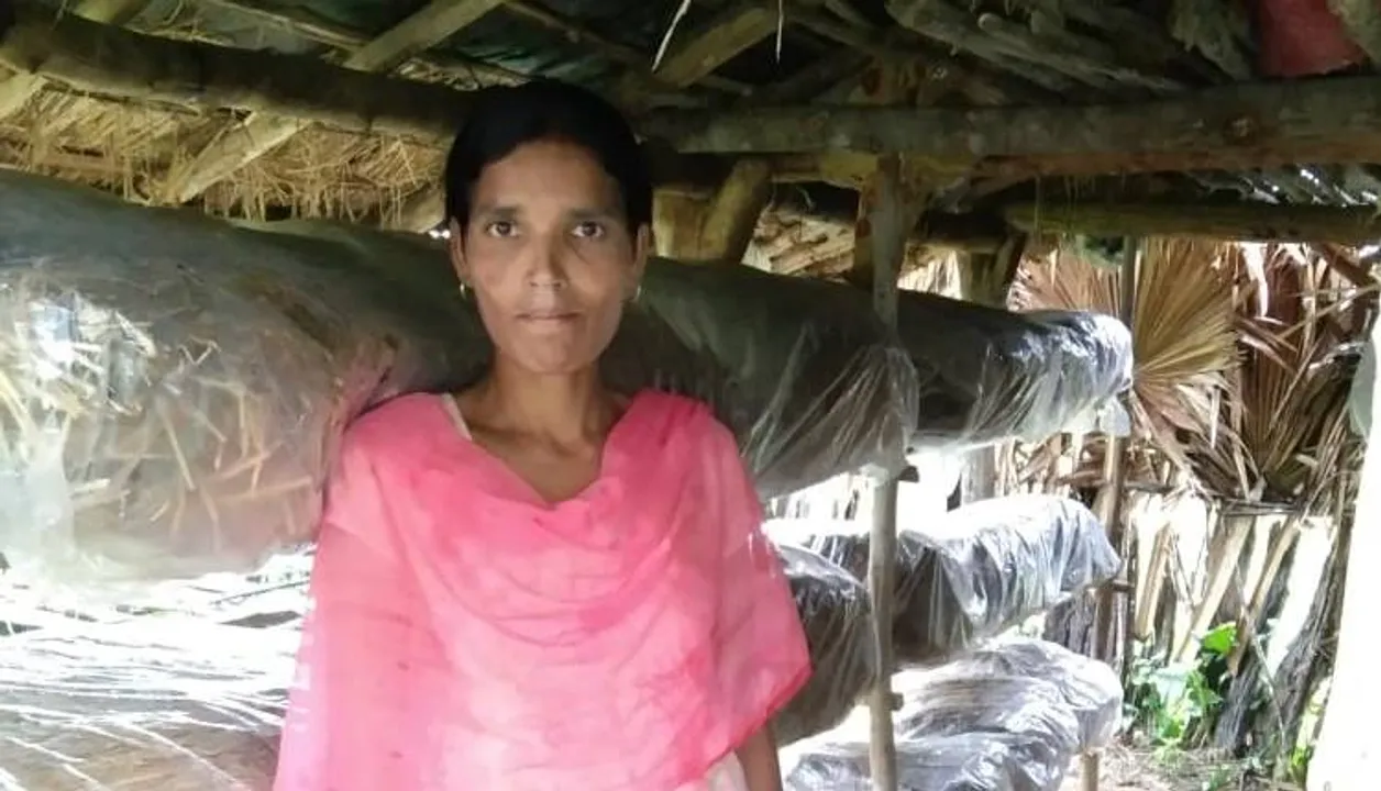  ଛତୁଚାଷ କରି ସ୍ବାବଲମ୍ବୀ ହୋଇଛନ୍ତି ସୀତା
