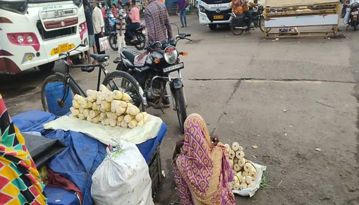  ହାତୀଙ୍କ ପ୍ରମୁଖ ଖାଦ୍ୟର ବେଆଇନ ବେପାର ଚାଲିଛି