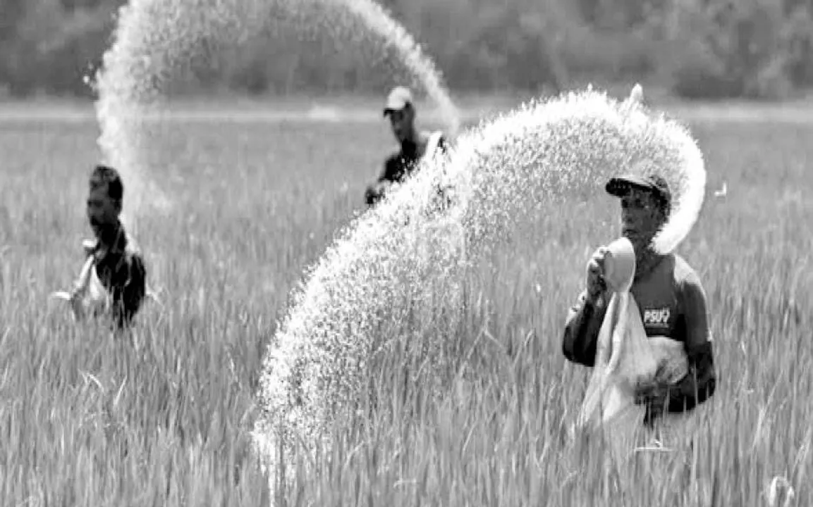  ରସାୟନରେ ବଞ୍ଚିଥିବା ମୃତ୍ତିକା