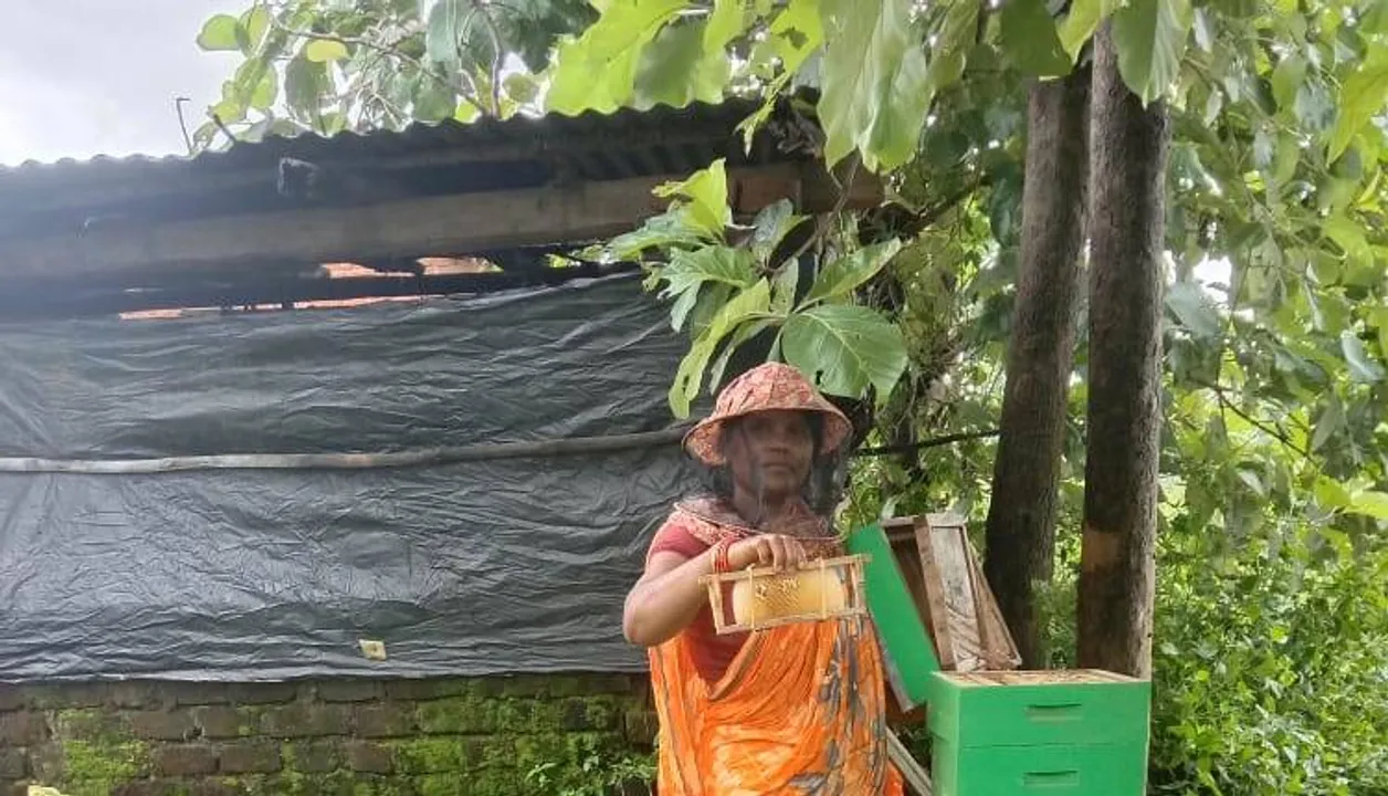  ଛତୁ ଓ ମହୁ ଚାଷ କରି ସ୍ବାବଲମ୍ବୀ ହୋଇଛନ୍ତି ମହିଳା
