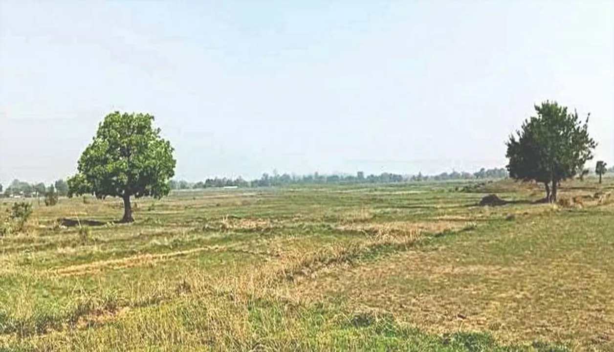  ଶ୍ରାବଣରେ ବର୍ଷା ଉଭାନ୍‌, ଜିଲ୍ଲାରେ ହୋଇଛି ଅଧା ଚାଷ