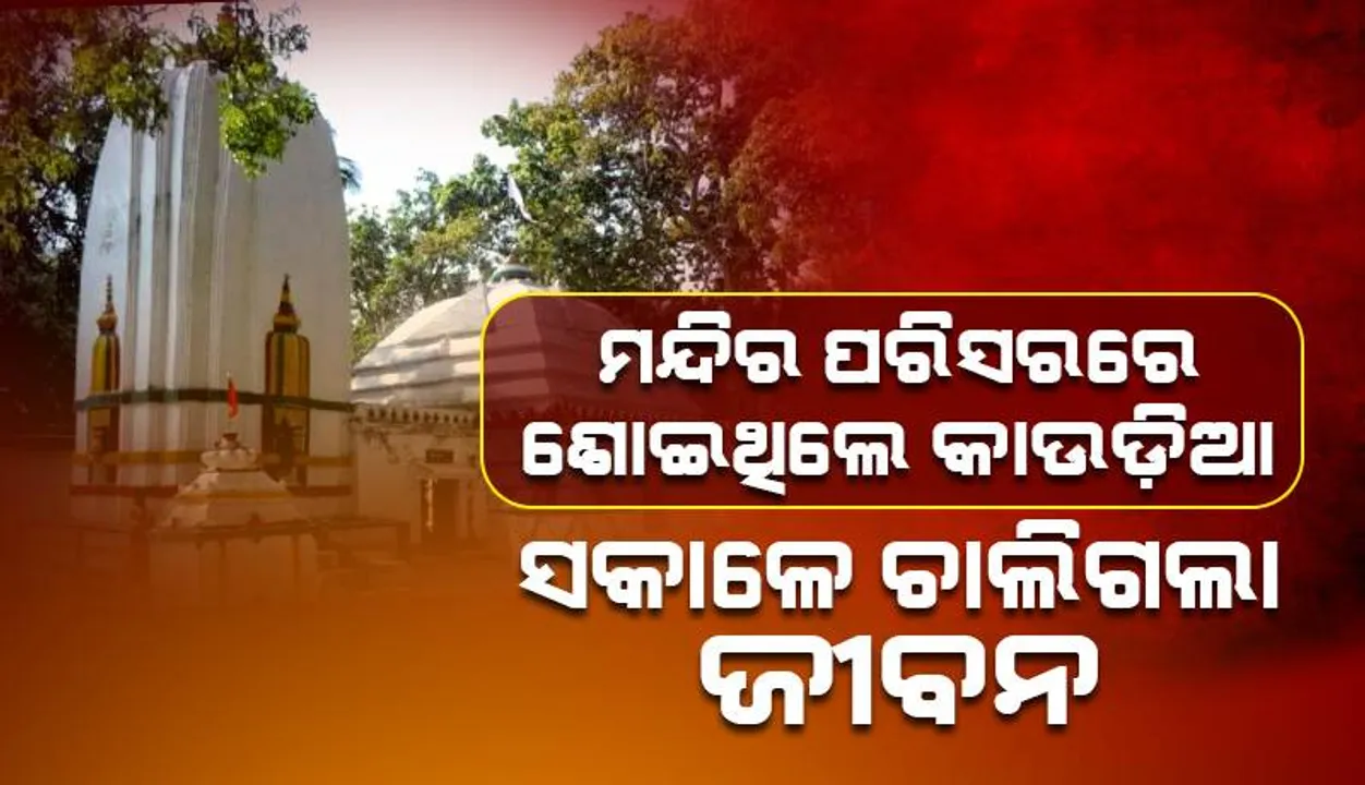  ରାତିରେ ଝାଡ଼େଶ୍ୱର ମନ୍ଦିର ପରିସରରେ ଶୋଇଥିଲେ, ସକାଳେ ଚାଲିଗଲା କାଉଡ଼ିଆଙ୍କ ଜୀବନ
