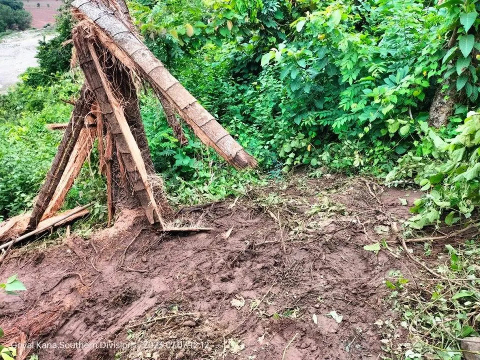 ବୃନ୍ଦାବନପୁର ଜଙ୍ଗଲରୁ ମଣିଷ ଖପୁରି ଜବତ