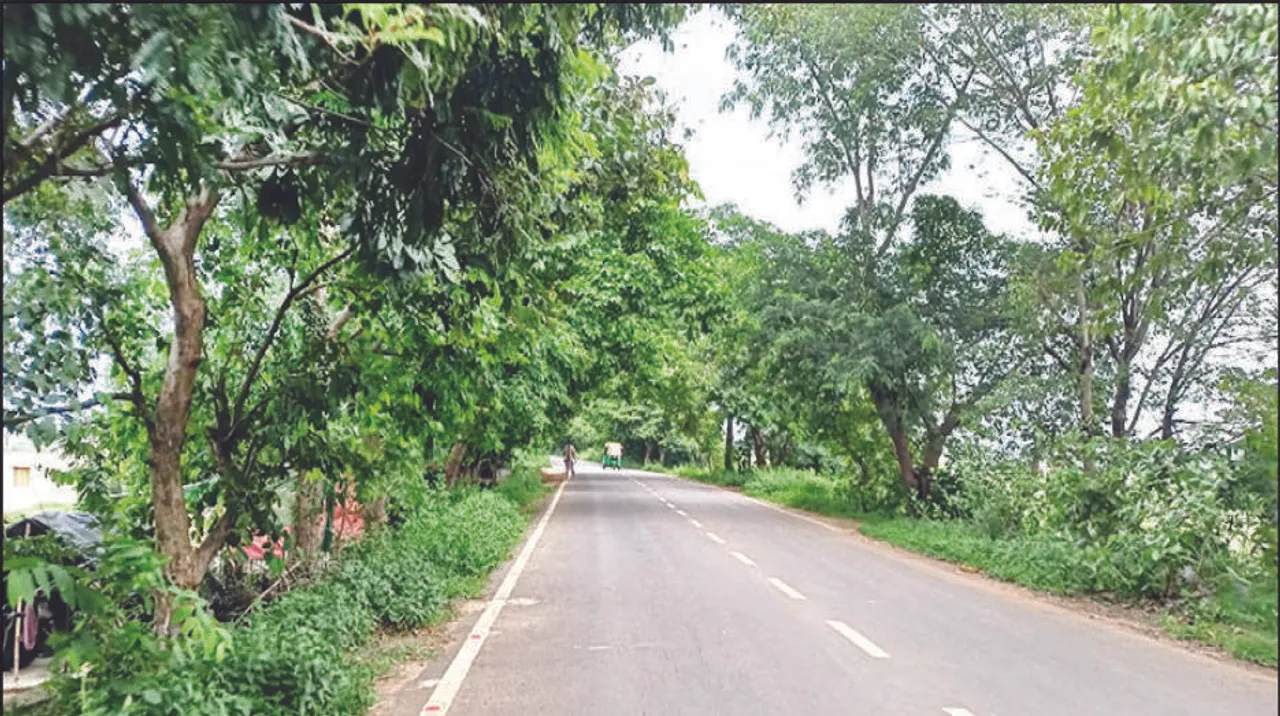  ମ‌ଞ୍ଚେଶ୍ବର-କାନପୁର ରାସ୍ତା ଘୋଷଣାକୁ ୮ ମାସ ବିତିଲା ଆଲୋକୀକରଣ ନୋହିଲା