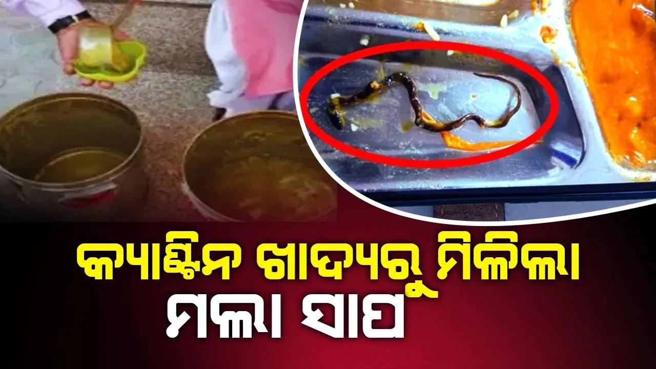  କ୍ୟାଣ୍ଟିନ ଖାଦ୍ୟରୁ ମିଳିଲା ମଲା ସାପ, ଖାଇଥିବା ଲୋକେ ହେଲେ ଅସୁସ୍ଥ
