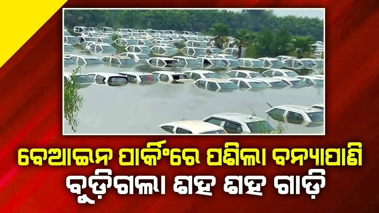  ନୋଇଡା : ବେଆଇନ ପାର୍କିଂରେ ପଶିଲା ବନ୍ୟାପାଣି, ବୁଡ଼ିଗଲା ଶହ ଶହ ଗାଡ଼ି