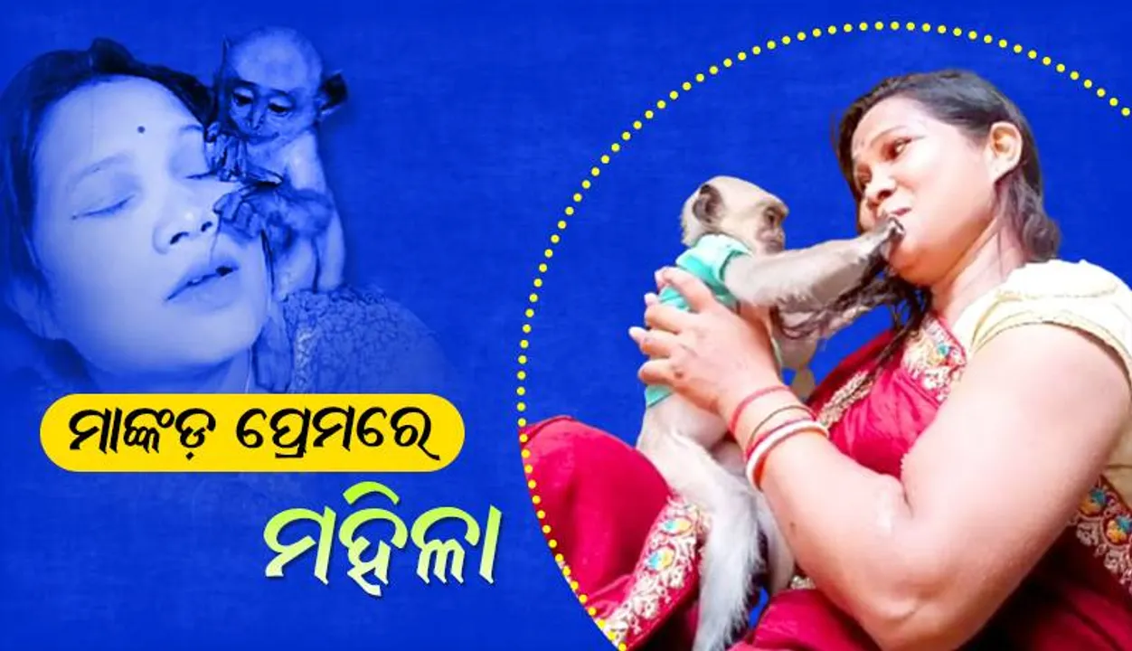  ମାଙ୍କଡ଼ ଛୁଆର ମା ପାଲଟିଛନ୍ତି ଝାଡ଼ପିପଳ ଗାଁର ହେନା