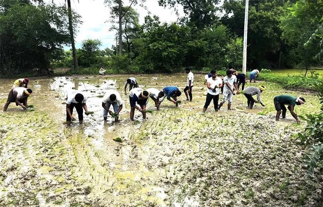  ବିଙ୍ଗ୍‌ ହ୍ୟୁମାନ୍ ଫାଉଣ୍ଡେସନ ପକ୍ଷରୁ ନିଆରା ଢଙ୍ଗରେ ସହିଦଙ୍କୁ ଶ୍ରଦ୍ଧାଞ୍ଜଳି: ଚାଷୀଙ୍କ ଜମିରେ ଶ୍ରମଦାନ କଲେ କର୍ମକର୍ତ୍ତା