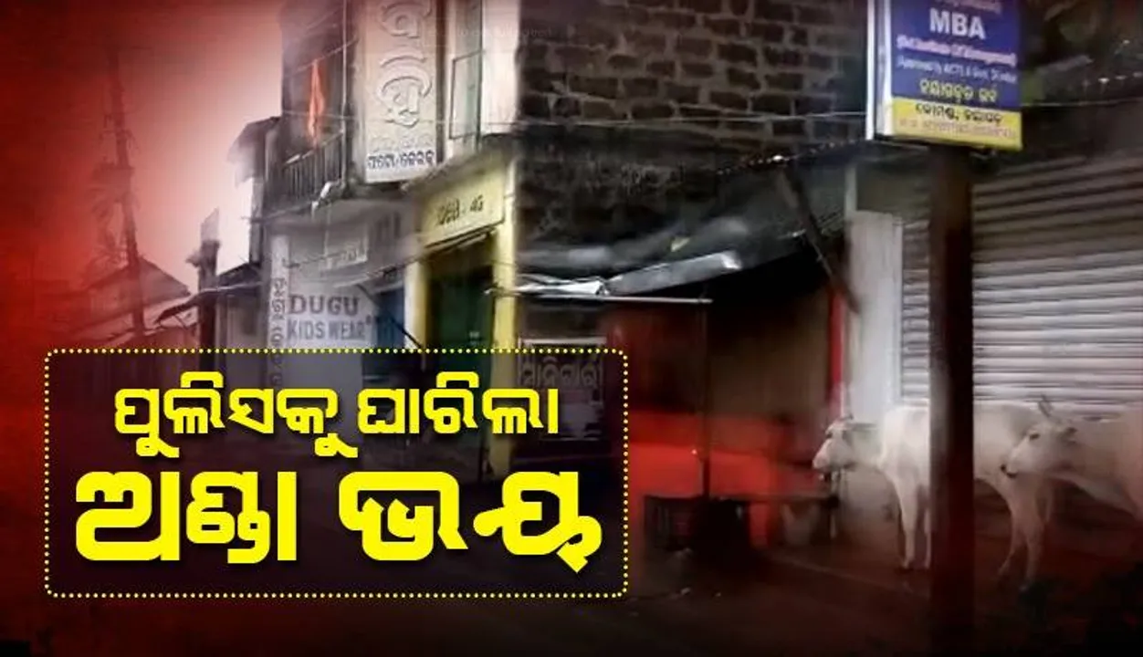  ୫-ଟି ସଚିବଙ୍କ ଗସ୍ତକୁ ବିଜେପିର ବିରୋଧ, ରଣପୁରରେ ୨ ଦିନ ବନ୍ଦ ରହିଲା ଅଣ୍ଡା ଦୋକାନ
