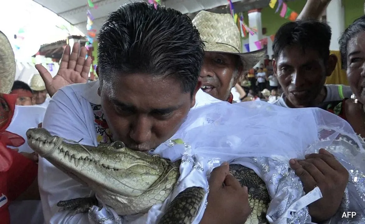  Image Courtesy of NDTV 