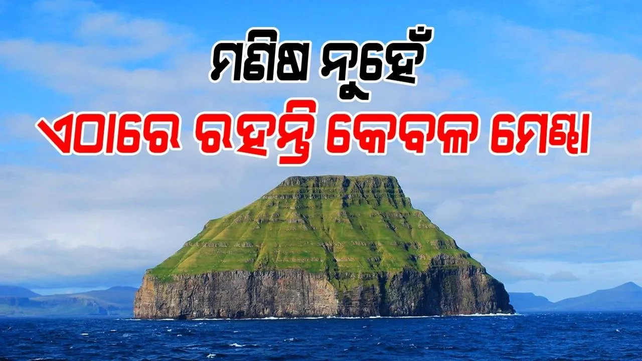  ମେଘ ମୁକୁଟର ଦ୍ବୀପ ‘ଲିଟଲା ଡିମୁନ୍‌’; ମଣିଷ ନୁହେଁ, ଏଠାରେ ରହନ୍ତି କେବଳ ମେଣ୍ଢା