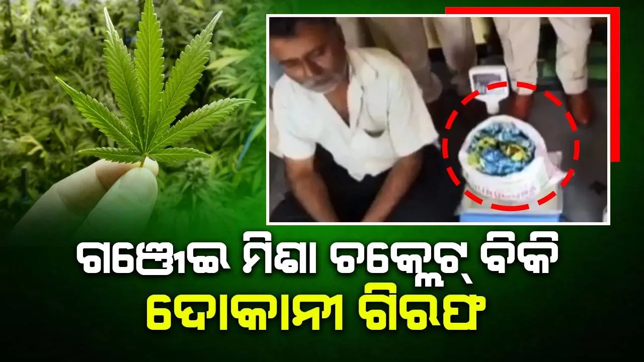  ଗିରଫ ହେଲେ ପିଲାଙ୍କୁ ଗଞ୍ଜେଇ ମିଶା ଚକ୍‌ଲେଟ୍‌ ଖିଆ ଅଭ୍ୟାସ କରାଇଥିବା ଦୋକାନୀ