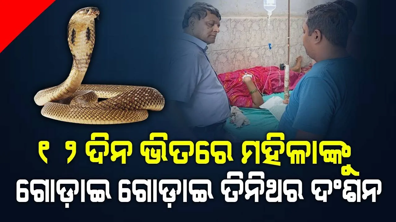  ‘୧୨ଦିନରେ ତିନିଥର ସର୍ପ ଦଂଶନର ଶିକାର ହେବାପରେ ଗ୍ରାମବାସୀ କହୁଛନ୍ତି ଏଭଳି କଥା’: ପୀଡ଼ିତା